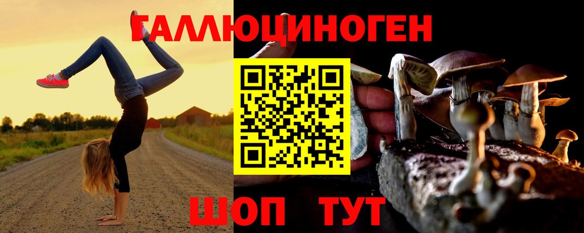 Галлюциногенные грибы Psilocybe  Вход с VPN  Волжск 