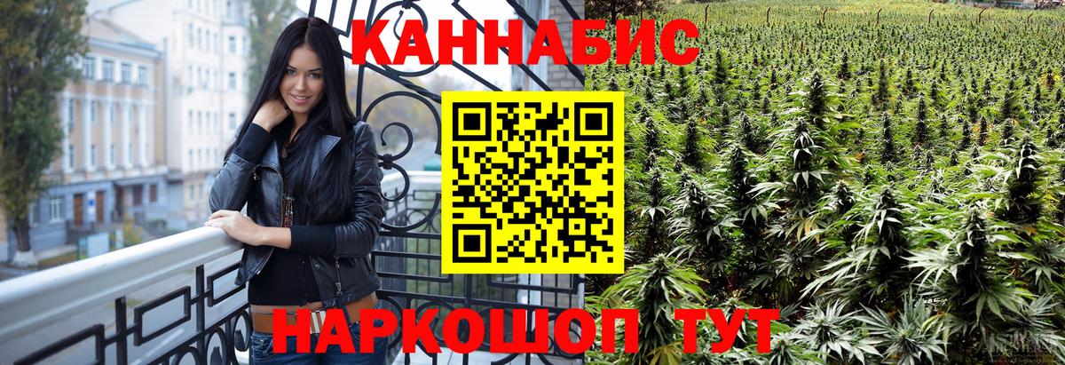 Конопля гибрид  Вход с VPN  Волжск  Марихуана сатива 